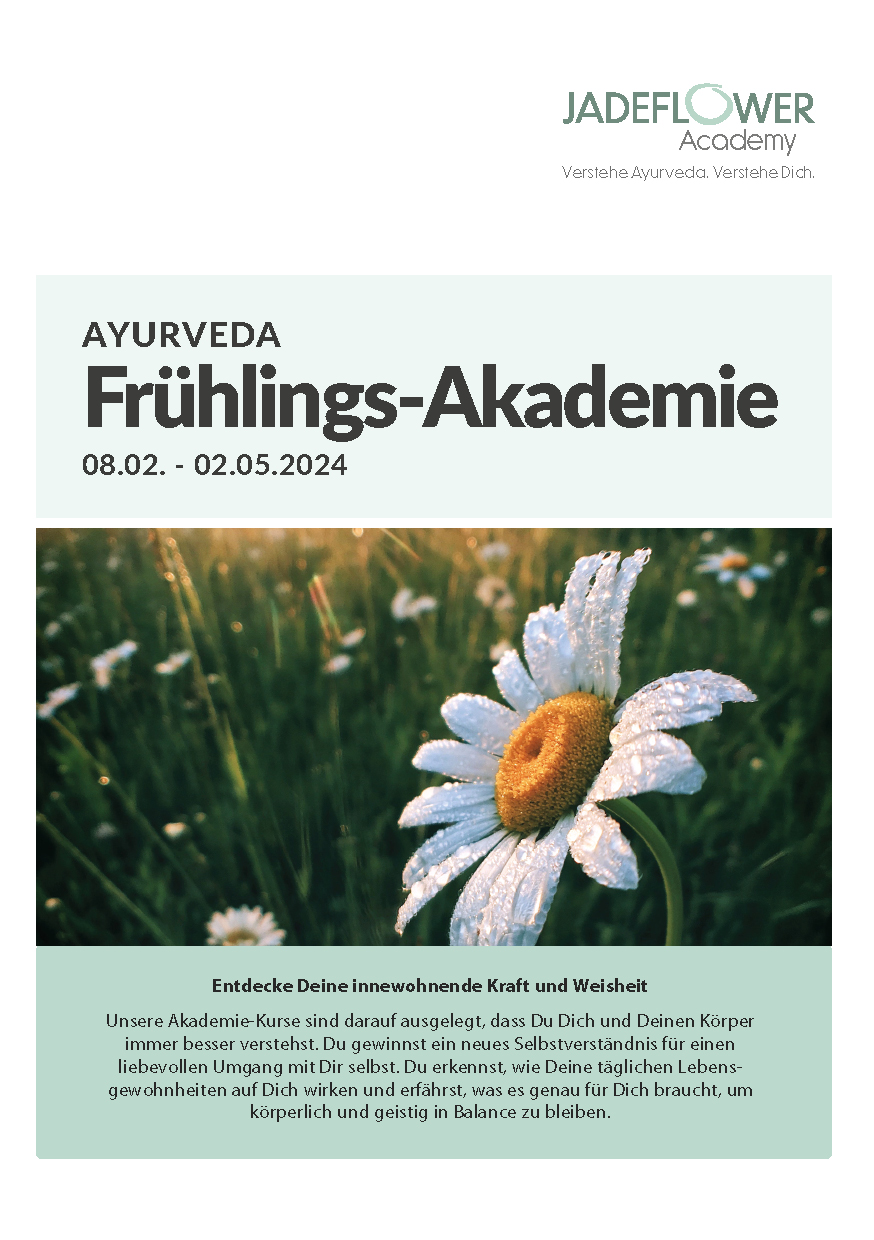 Infomaterial Frühlings-Akademie 2024