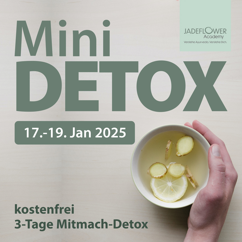 Ayurveda Detox - 3 Tage kostenfreier mini Detox zum Mitmachen