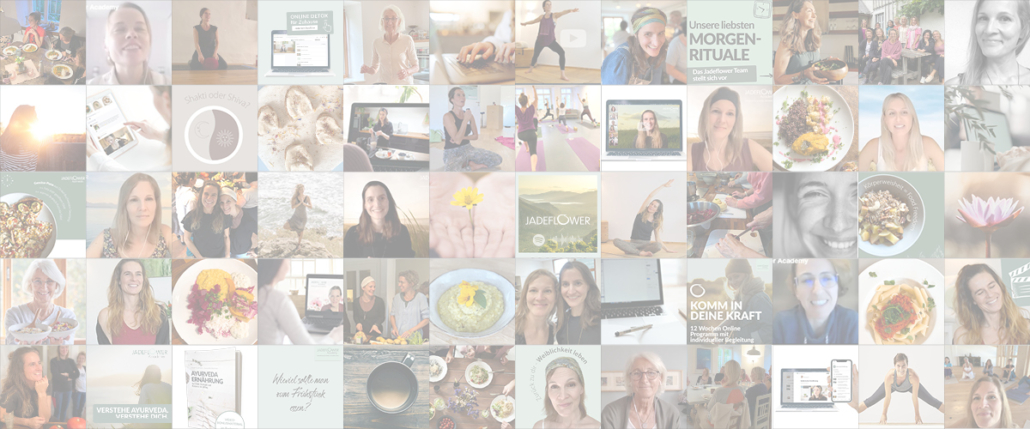JF100 Titelbild JADEFLOWER 100 - Eindrücke aus der JADEFLOWER Academy für Ayurveda